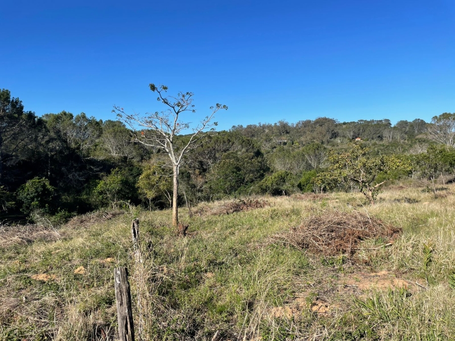 0 Bedroom Property for Sale in Bathurst Eastern Cape
